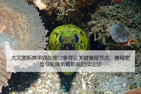 you-wen-tu-si-yi-jia-ou-zhan-xi-wei-zheng-duo-ying-guan-jian-sai-cheng-jie-dian-sai-cheng-mi-du-yu-lun-huan-ce-lve-ying-2-783.jpg